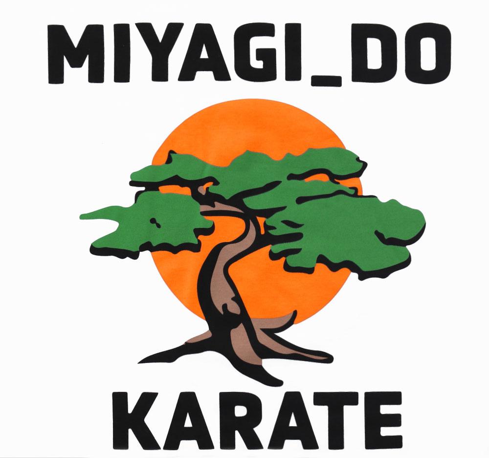 Miyagi Logo